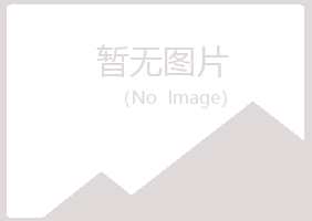 忻城县山柳工程有限公司